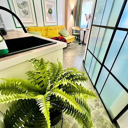 Arte Dos Colores Apartment
